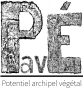 wiki:logo2c.png